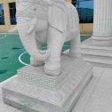 防城港 白麻花岗岩动物异形石雕-大象