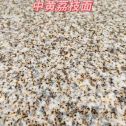 防城港黄金麻中黄荔枝面