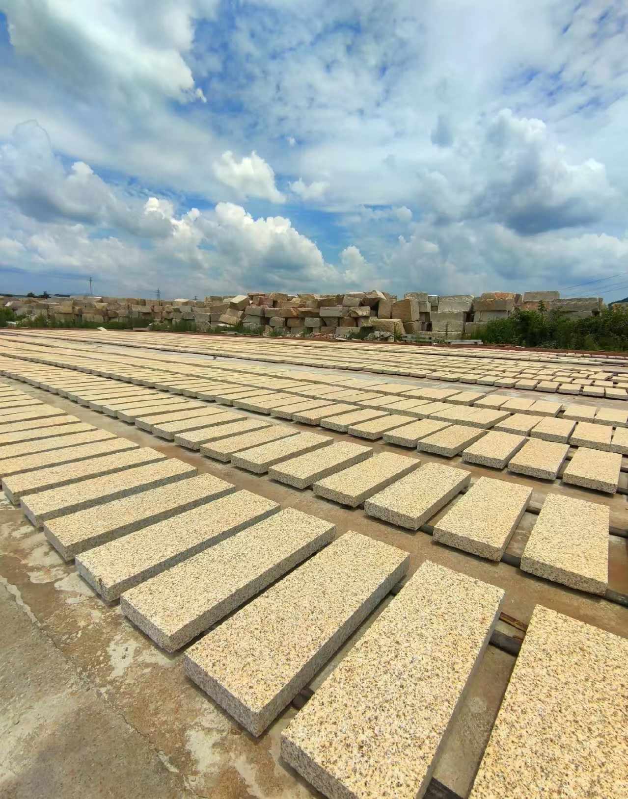 防城港 黄金麻荔枝面花岗岩石材地铺石防护中