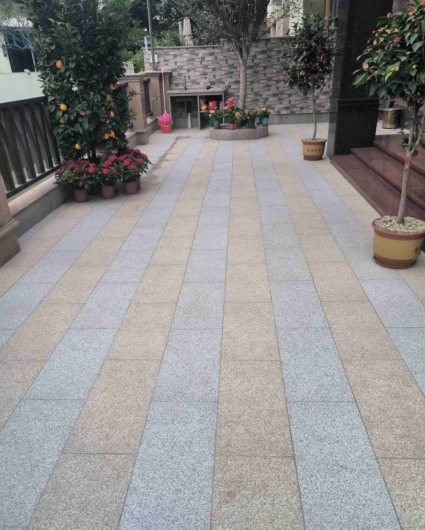 防城港 黄金麻白麻荔枝面庭院铺装展示